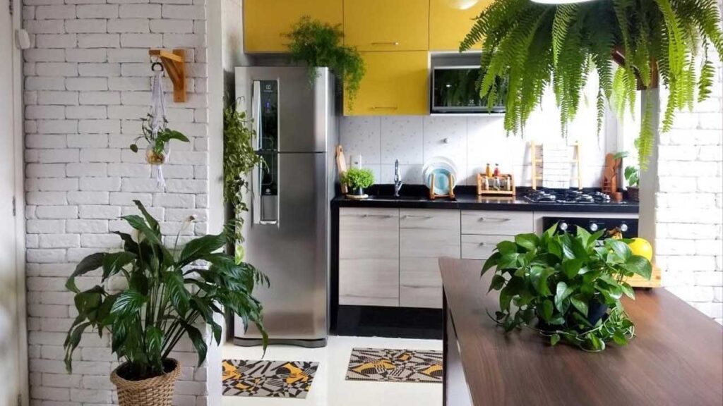 decoração-plantas-em-casa-a