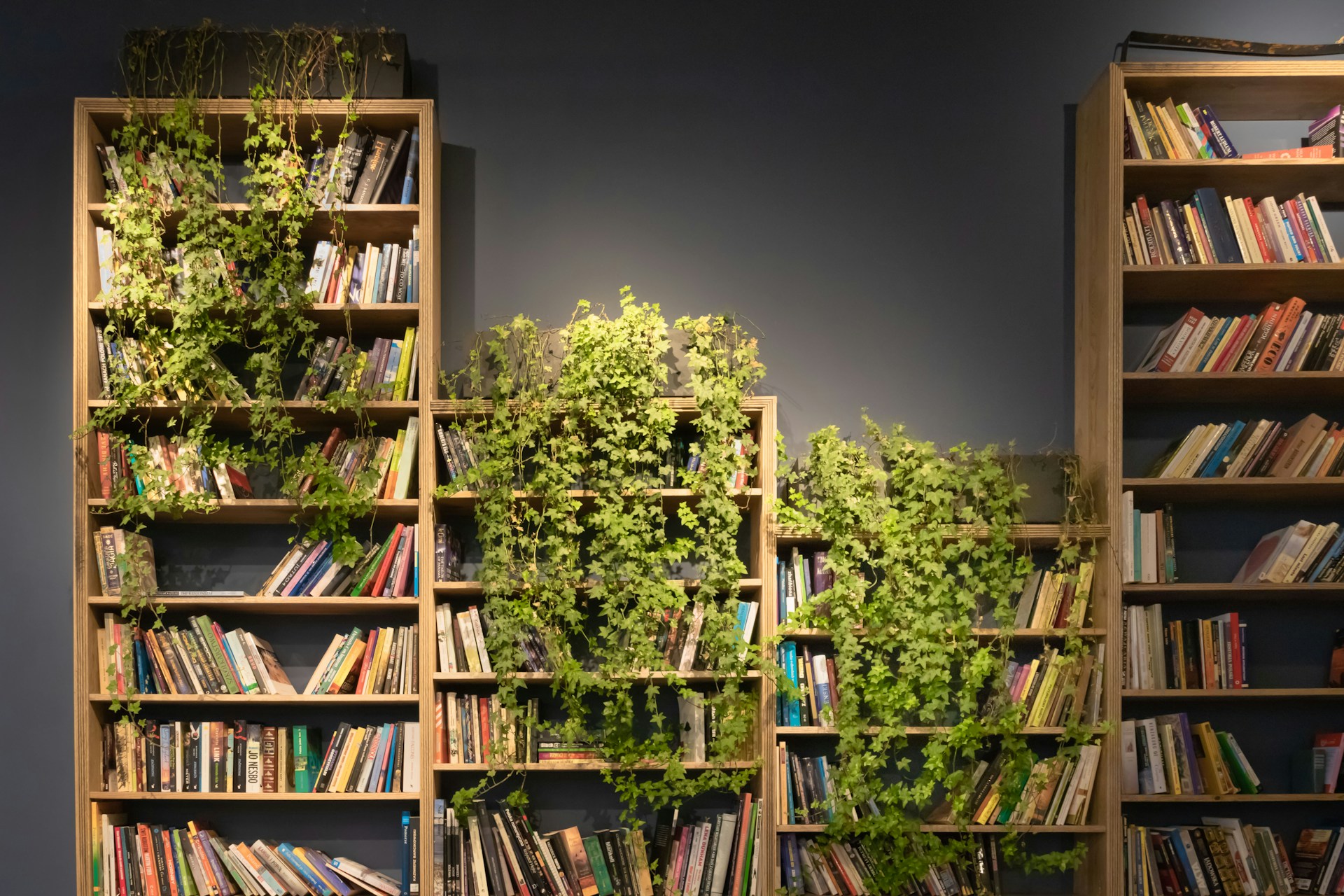 jiboia-decoração-plantas-em-casa