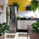 decoração-plantas-em-casa-a