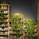 jiboia-decoração-plantas-em-casa